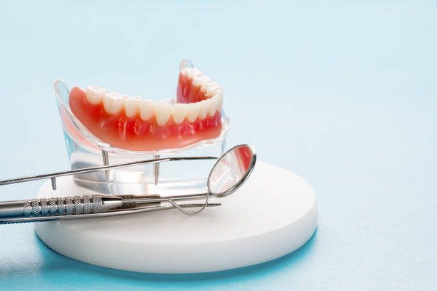 Trusted Port Neches, TX  Holistic Dental Services Experts